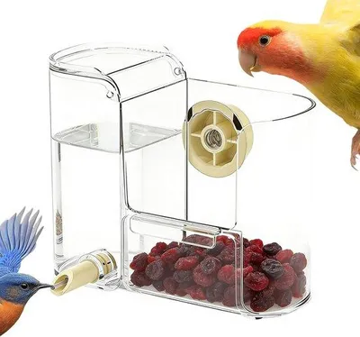 Produktbild von Famanu Automatische Vogeltränke - 2-in-1 Futter- und Trinkstation - Transparent