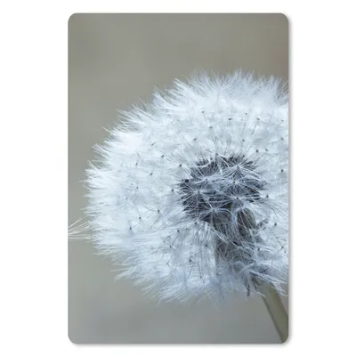 Produktbild von MuchoWow® Mauspad Mousepad Löwenzahn - Blume - Pflanze 18x27 cm - Mousepads - Maus Mat - Pad - Mausunterlage