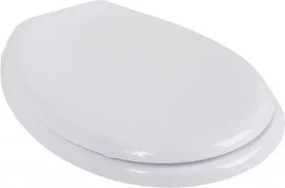 Immagine prodotto di Sedile da bagno per WC Malwa bianco