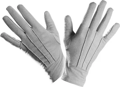 Produktbild von Widmann GLOVES grey (One Size Fits Most Adult) Für: Uni Erwachsene
