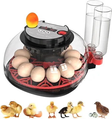 Produktbild von Brutautomat Vollautomatisch Hühner Inkubator 12Eier: Brutmaschine Vollautomatisch mit Automatischer Eierwende Wasserbefüllung Temperaturkontrolle