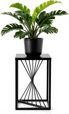 A black plant pot with a green plant on a black metal stand.