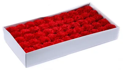 Produktbild von Rote Seifennelken - Satz mit 50 Stück in einer Schachtel