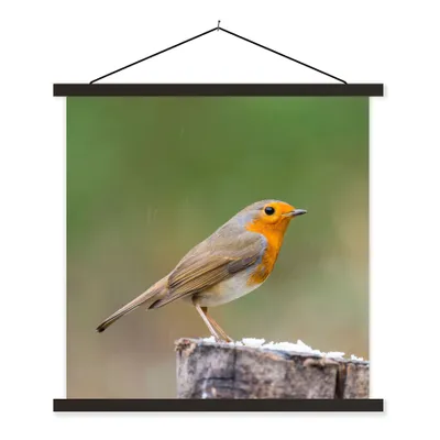 Produktbild von MuchoWow® Textilposter Tiere - Vogel - Rotkehlchen 90x90 cm mit schwarzem Rahmen - Magnetisches