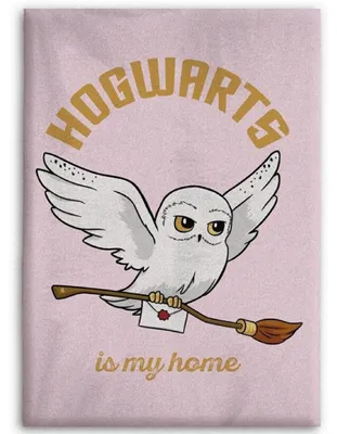 Obrázek produktu pro Harry Potter Hedvika huňatá přikrývka útulná přikrývka 110 x 150 cm
