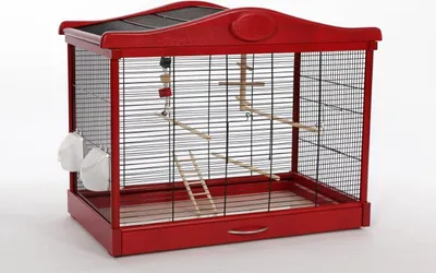Image de Cage pour oiseaux avec équipement Cage pour canaris Perruche 75x43x58