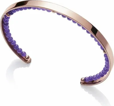Image de VICEROY Bracelets 75113P01017