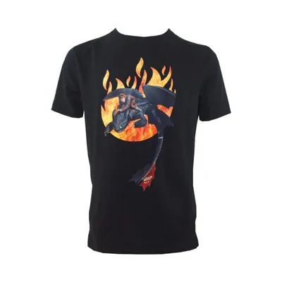 Produktbild von Dragons Sturmpfeil T-Shirt, Gr. 116-122