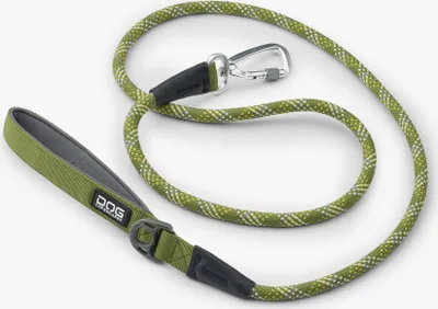 A dog leash is laid out on a white background.