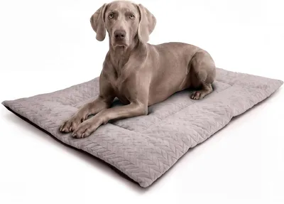 Produktbild von Hundematte und Katzenmatte, weich gepolstert, 50 x 75 cm, rutschfest, für Haustiere