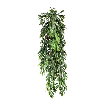 Produktbild von Kunstpflanze Olivenblatthänger Höhe: 85 cm grün