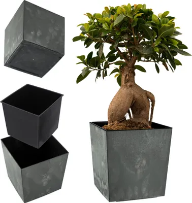 Image de KADAX Pot de fleurs Couvercle de pot de fleurs 19cm avec insert Support de fleurs Plastique Noir