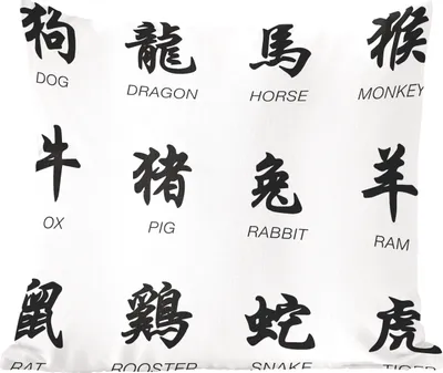 Produktbild von MuchoWow® Zierkissen Sofakissen Wohnzimmer Dekokissen 40x40 cm Chinesische Schriftzeichen für Tiernamen - Foto Kissen - Schlafzimmer Dekoration