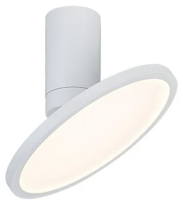 Productafbeelding van Rabalux 71328 Hanglamp Ovidia LED 20, metaal, wit