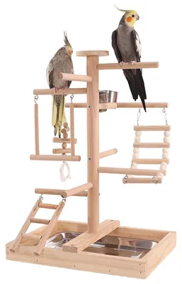 Image de Cage pour oiseaux avec 3 perchoirs en bois