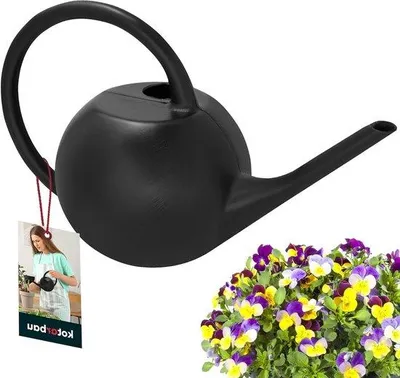 Image de Arrosoir de jardin 12 L noir à long bec