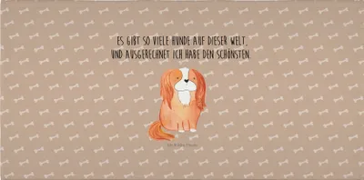 Produktbild von Mr. & Mrs. Panda Handtuch Hund Cavalier King Charles Spaniel - Hundeglück - Geschenk, Bester, Spruch, Baumwollhandtuch, 100x50, Sprüche, Cockerspaniel, gesichtshandtuch