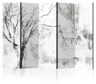 Immagine prodotto di LUMASOUL Paravento Monofacciale, Paravento divisorio per interni, Motivo Invernale, 225x172 cm