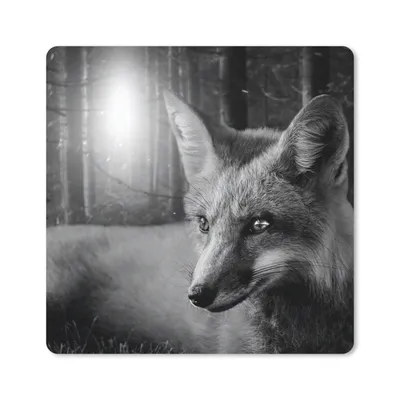 Produktbild von MuchoWow® Mauspad Mousepad Tiere - Fuchs - Wald - Schwarz - Weiß 30x30 cm - Mousepads - Maus Mat - Pad - Mausunterlage - Gaming