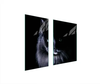 Image de Plaques de recouvrement pour cuisinière 2 pièces 75x52 Couverture pour champ vitrocéramique Verre Planche à découper Chat Noir