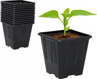Produktbild von Satz von 12 Kunststoffblumentöpfen 7 x 7 x 8 cm Garden Line