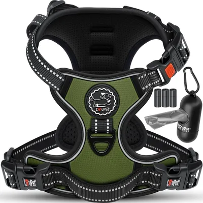 A dog harness with accessories on a white background.