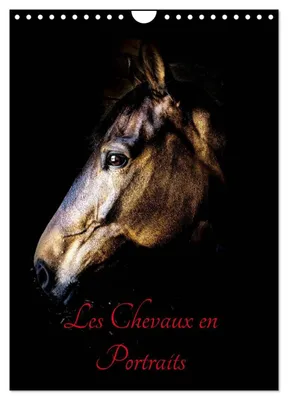 Image de Calendrier mural 2026, thème : chevaux, format A4