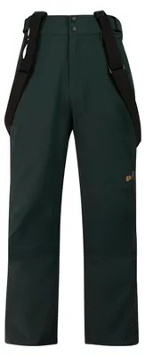 Produktbild von Protest PRTMIKADO snowpants grün L
