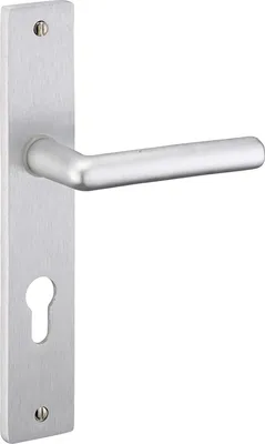 Immagine prodotto di Set per porte di accesso - Crecy-Gat - 1 pezzo - colore argento