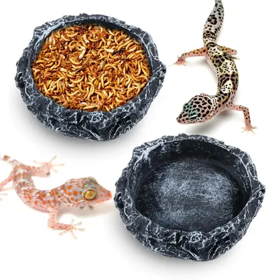Productafbeelding van Set van 2 Reptielen Water- en Voederschalen voor Terrarium