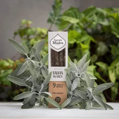 Produktbild von Weißer Salbei Räucherstäbchen, 100% natürlich, 20 Stück, für Meditation