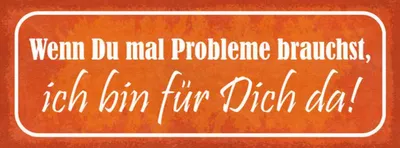 Produktbild von vianmo Holzschild 10x27 cm wenn du Probleme brauchst bin da Spruch Zitat