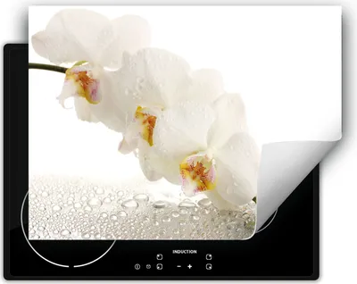 Produktbild von DarHaus Herdabdeckplatte 80x52 cm Anti Rutsch Matte Aufrollbar, weiß - Orchidee
