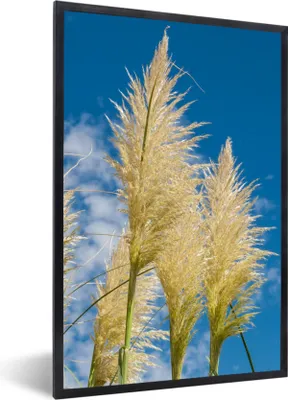 Produktbild von MuchoWow® Gerahmtes Poster Pflanzen - Pampasgras - Luft 40x60 cm - Poster mit Schwarzem Bilderrahmen Wandposter Rahmen Foto Bilder - Papierdruck - Wandbilder