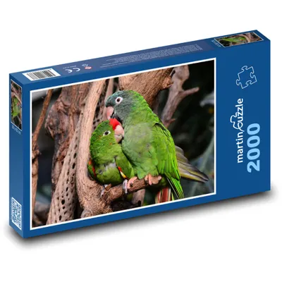 Obrázok produktu pre Puzzle 2000 Zamilované papagáje - martinpuzzle