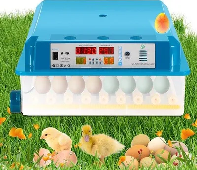 Obrázok produktu pre Inkubátor na 64 vajec s automatickým otáčaním, určený pre domáce a farmárske účely