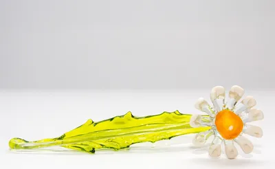 Produktbild von Margerite ''Blumen'' (15-18cm)