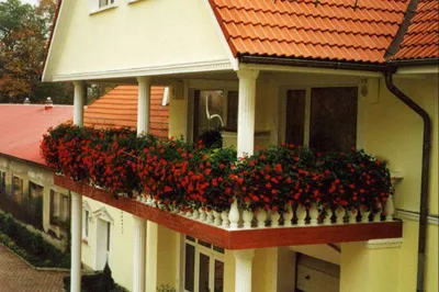Obrázek produktu pro Květináč květináč dekorace postava Květináče zahradní vázy 104