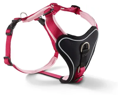 Image de Harnais Wolters Professional Comfort, Taille:45 - 50 cm, Couleur:framboise/rose