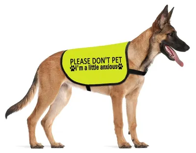 Image de Gilet anti-anxiété pour chiens, avec slogan d'avertissement