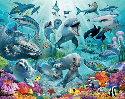 Immagine prodotto di Murale mondo sottomarino animali marini pesci