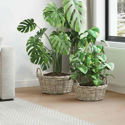 Produktbild von PUEAZU Blumentopfkorb GENDT 2 stk. Natürliches Grau Kubu Rattan - Körbe &27998