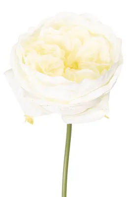 Imagen del producto de Clayre & Eef, flor artificial de rosa, 35 cm, color blanco, material: plástico