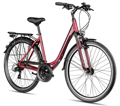 Produktbild von Adler Verona Wave vielseitiges Trekkingbike mit Tiefeinstieg & Straßenausstattung 28 Zoll Rot 55 cm