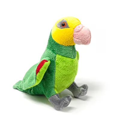 A plush toy parrot sitting on a white background.