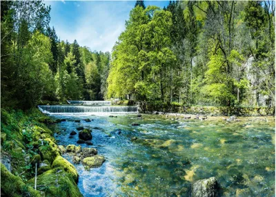 Produktbild von Fototapete Wasserfall 3D Effekt grün Wald Natur Fluss 350x250 cm - inkl. Kleister - für Wohnzimmer Schlafzimmer Flur Modern Vlies Tapete Vliestapete Wandtapete Motivtapeten UV-Beständig