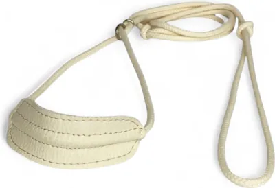 Produktbild von Gepolsterte Hundeleine mit Lederhalsung 1,20 m Creme 5 mm Ausstellungsleine Vorführleine Showleine Retrieverleine