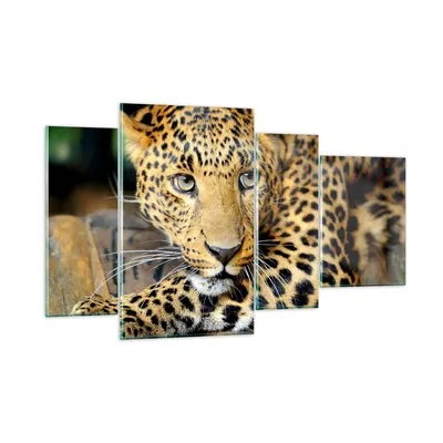 Produktbild von Bilder auf glas - Tiere gefährlich wilde katze - 120x70cm - Glasbilder - Wandbilder - Kunstdruck - zum Aufhängen bereit - Wanddekoration aus Glas - Glas Bilder - Wandbild auf Glas - GDL120x70-2702