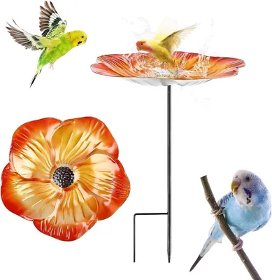Vogeltränke, Hauptbild