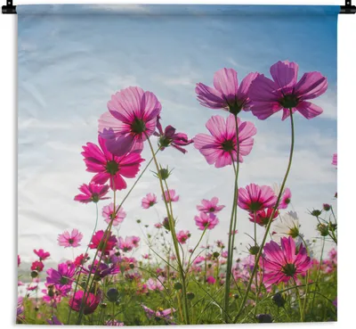 Produktbild von MuchoWow® Wandteppich Wandbehang Blumen - Rosa - Cosmea 60x60 cm Tapisserie Dekoration Wandtuch - Dekorationen - Wand Decke